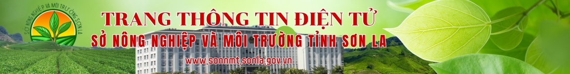 image banner
